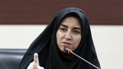 بررسی وضعیت لوایح حوزه زنان در نشست با وزیر اطلاعات