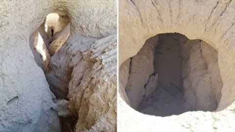 ماجرای فوت قناتی که سرو ۴۰۰۰ ساله ابرکوه را آبیاری می‌کرد