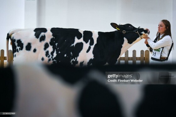 بزرگترین نمایشگاه لبنیات بریتانیا در نمایشگاه بث اند وست برگزار می‌شود