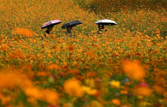 سئول، کره جنوبی