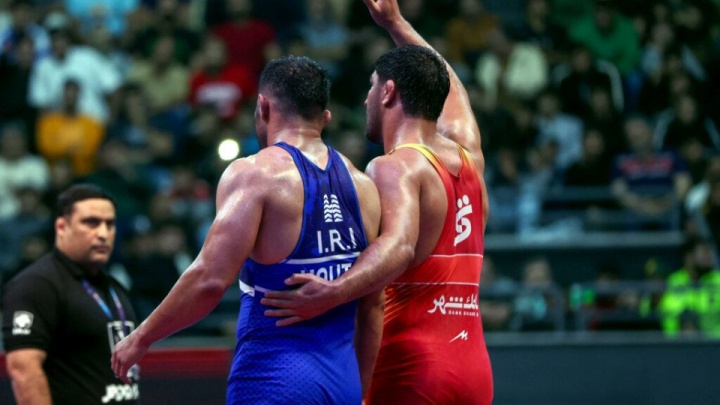 کری سرخابی‌ها به کشتی کشیده می‌شود