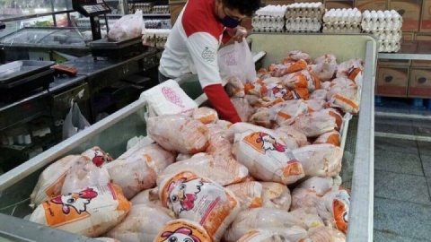 تزریق مرغ منجمد به بازار با نرخ مصوب ۸۶ هزار تومان