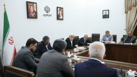 عارف: باید زنجیره تأمین و تولید کالاهای اساسی به عهده بخش خصوصی باشد