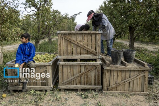توانمندی اقتصادی در خدمت محرومیت زدایی