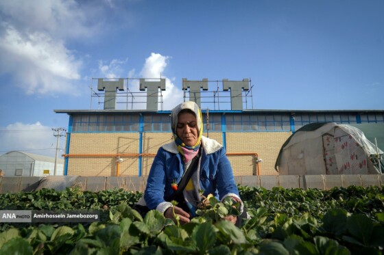 تولید ملی برای آبادانی مناطق محروم
