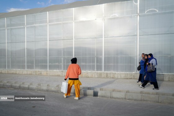 تولید ملی برای آبادانی مناطق محروم