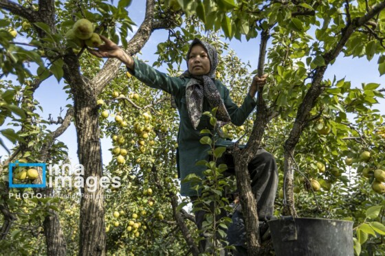 توانمندی اقتصادی در خدمت محرومیت زدایی