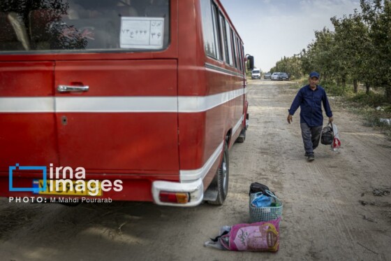 توانمندی اقتصادی در خدمت محرومیت زدایی