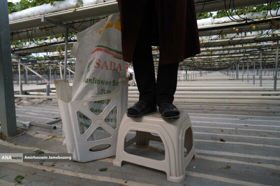 تولید ملی برای آبادانی مناطق محروم