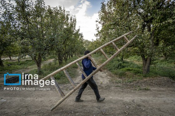 توانمندی اقتصادی در خدمت محرومیت زدایی