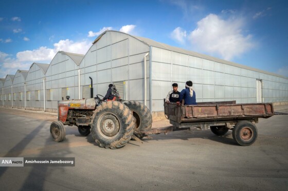 تولید ملی برای آبادانی مناطق محروم