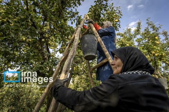 توانمندی اقتصادی در خدمت محرومیت زدایی