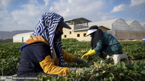 گزارش تصویری/ تولید ملی برای آبادانی مناطق محروم