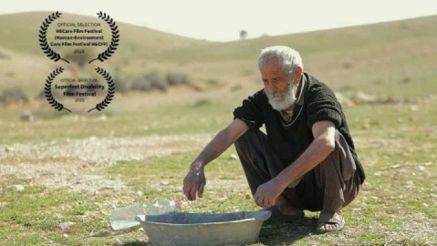 «ویر» در کانادا