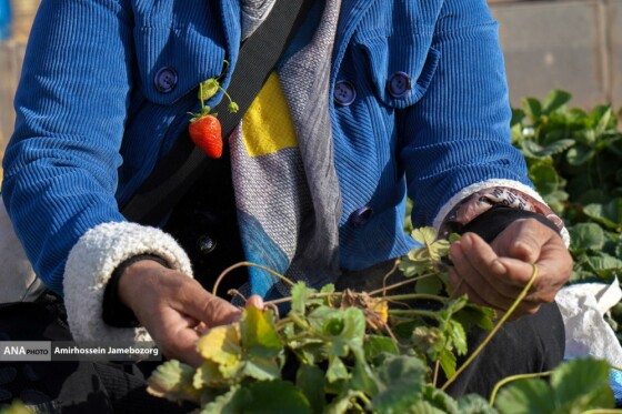 تولید ملی برای آبادانی مناطق محروم