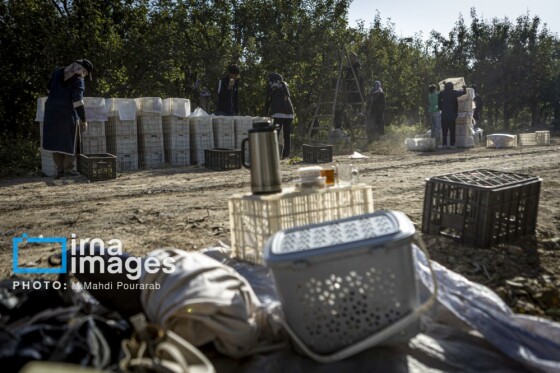 توانمندی اقتصادی در خدمت محرومیت زدایی