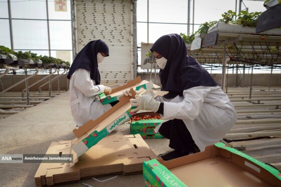 تولید ملی برای آبادانی مناطق محروم