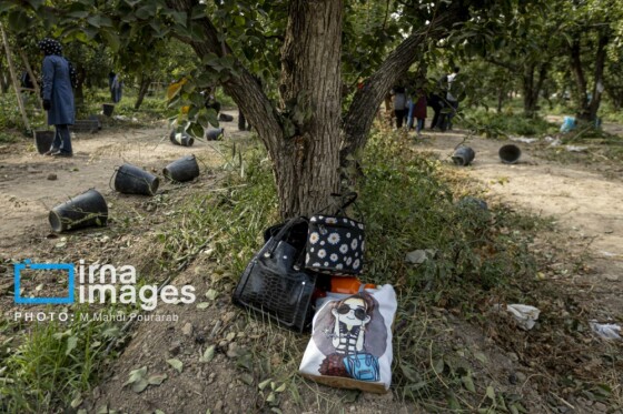 توانمندی اقتصادی در خدمت محرومیت زدایی