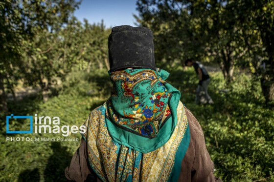 توانمندی اقتصادی در خدمت محرومیت زدایی