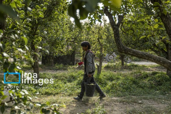 توانمندی اقتصادی در خدمت محرومیت زدایی