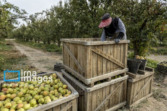 توانمندی اقتصادی در خدمت محرومیت زدایی