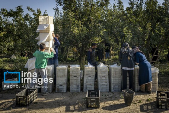توانمندی اقتصادی در خدمت محرومیت زدایی