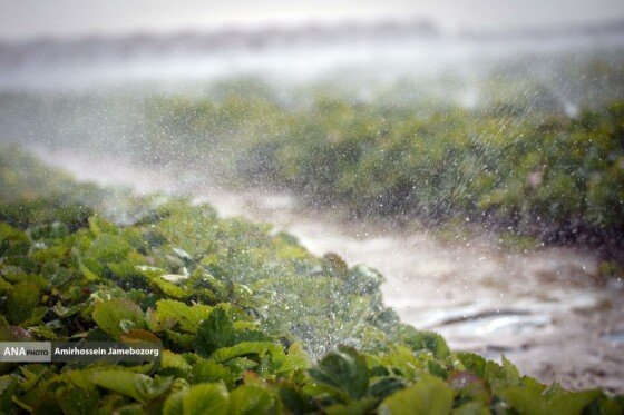 تولید ملی برای آبادانی مناطق محروم