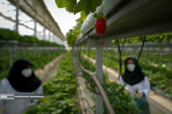 تولید ملی برای آبادانی مناطق محروم