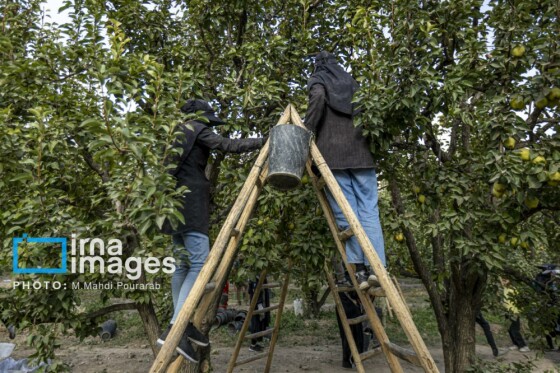 توانمندی اقتصادی در خدمت محرومیت زدایی