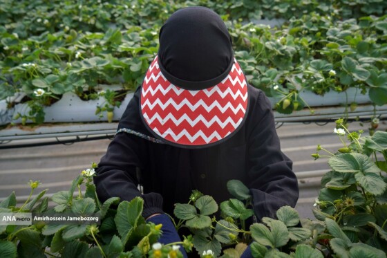 تولید ملی برای آبادانی مناطق محروم