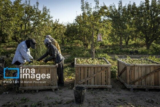 توانمندی اقتصادی در خدمت محرومیت زدایی