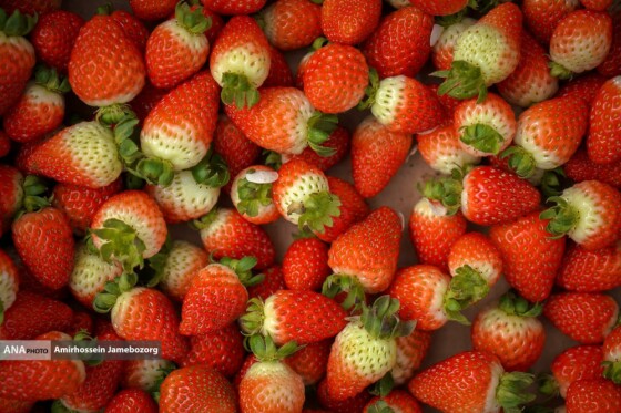 تولید ملی برای آبادانی مناطق محروم