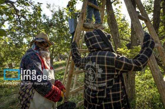 توانمندی اقتصادی در خدمت محرومیت زدایی