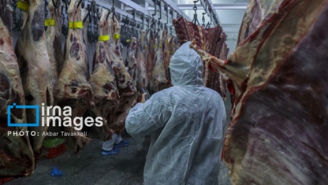 گزارش تصویری/ بازدید اصحاب رسانه از تولید فراورده های دامی و تخم مرغ