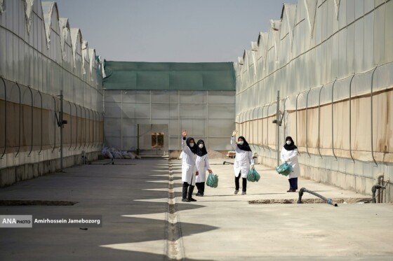 تولید ملی برای آبادانی مناطق محروم