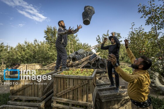 توانمندی اقتصادی در خدمت محرومیت زدایی