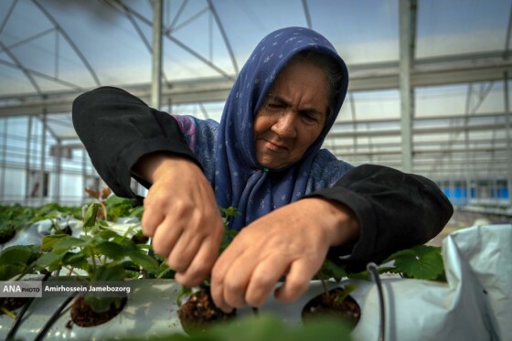 تولید ملی برای آبادانی مناطق محروم