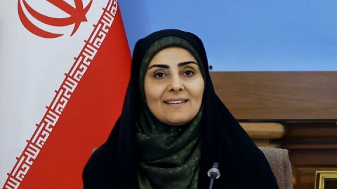 کاهش وابستگی به نفت با توسعه ترانزیت ریلی/ دولت حامی بخش خصوصی است