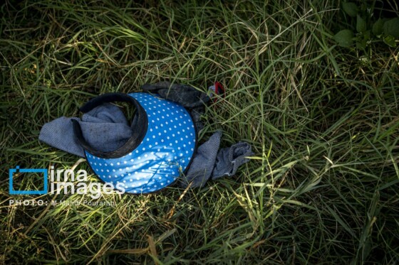 توانمندی اقتصادی در خدمت محرومیت زدایی