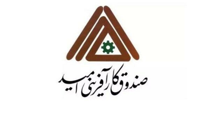 مدیرعامل صندوق کارآفرینی امید منصوب شد