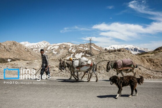 زندگی عشایری »