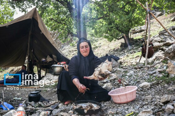 زندگی عشایری »