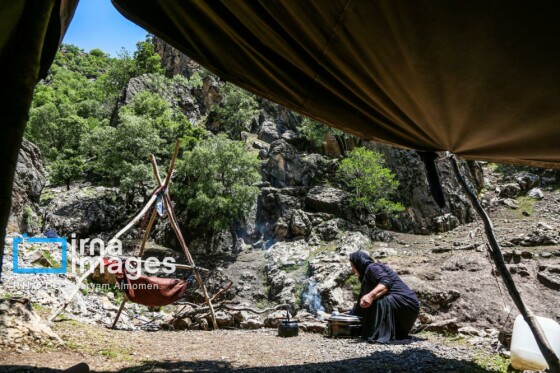 زندگی عشایری »