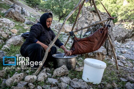 زندگی عشایری »