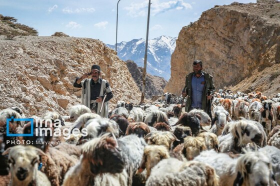 زندگی عشایری »