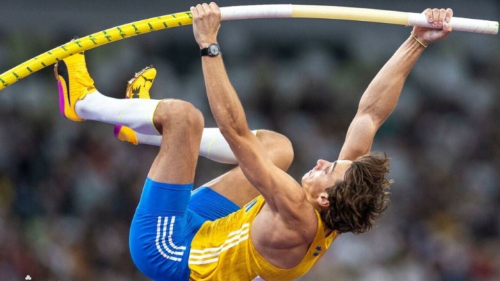 پرنده‌ای که از ارتفاع می‌ترسد