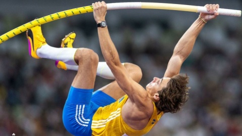 پرنده‌ای که از ارتفاع می‌ترسد