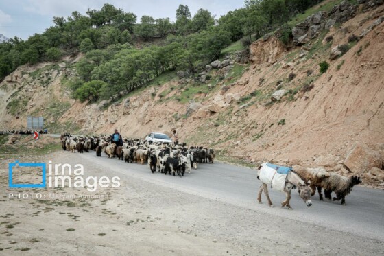 زندگی عشایری »