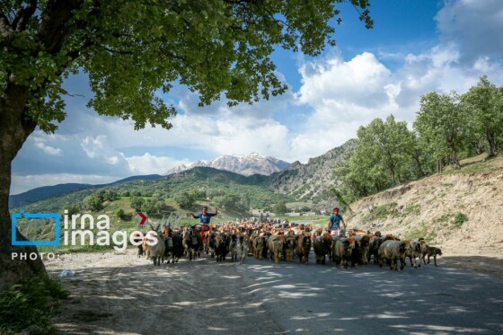 زندگی عشایری »