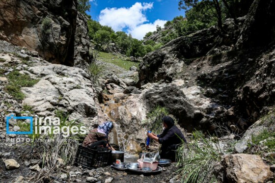 زندگی عشایری »